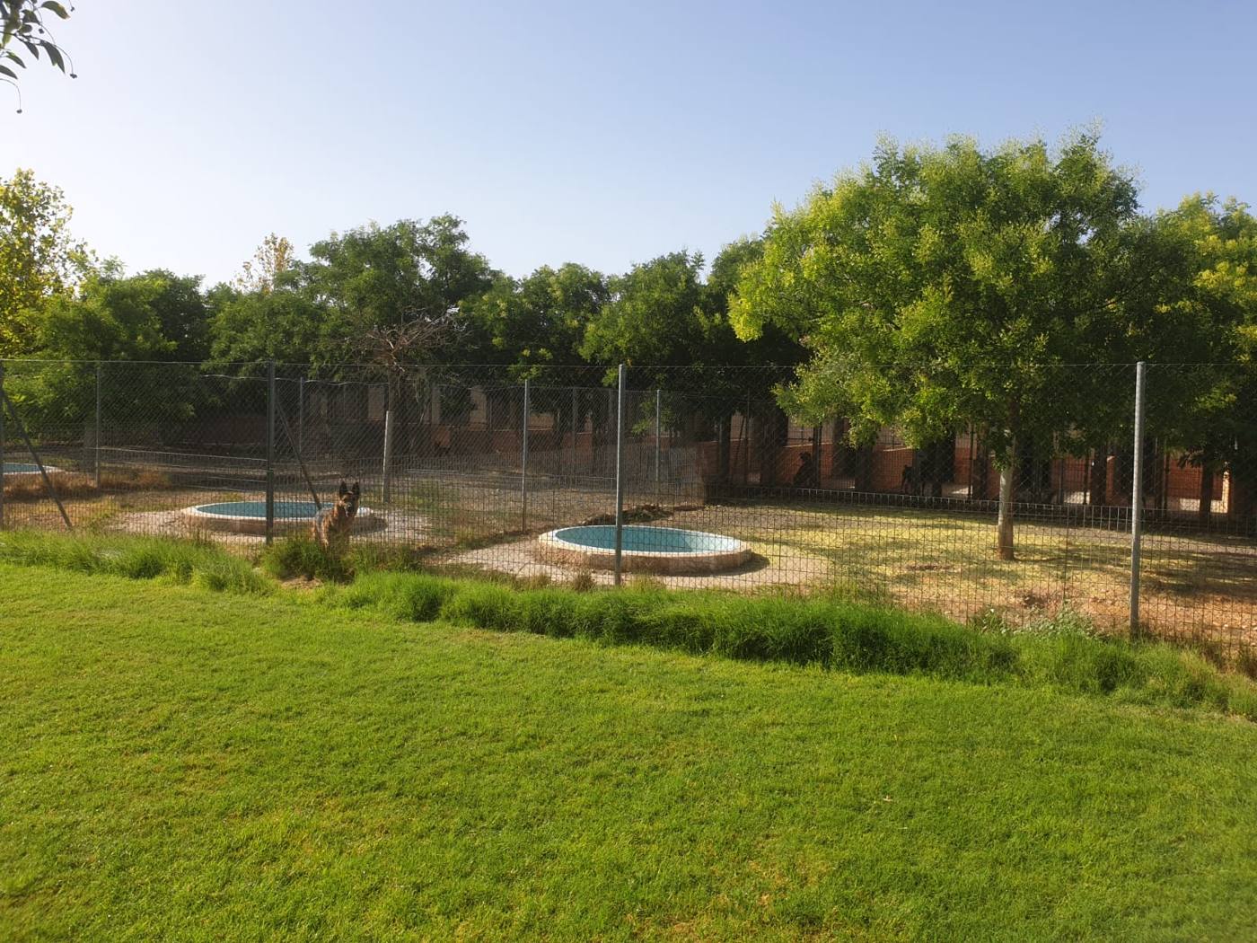 Patio de césped