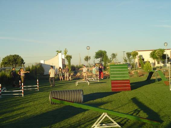 PISTA DE AGILITY DE MUNDOCAN