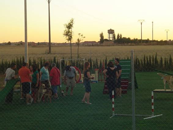 GRUPO DE AGILITY, PROPIETARIOS Y PERROS INTERACTUANDO. ESTO PERMITE UNA SOCIALIZACI&Oacute;N MUY IMPORTANTE EN EL PERRO