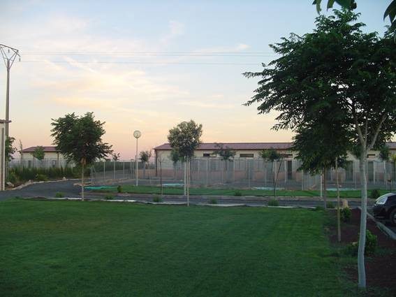 Pista de adiestramiento