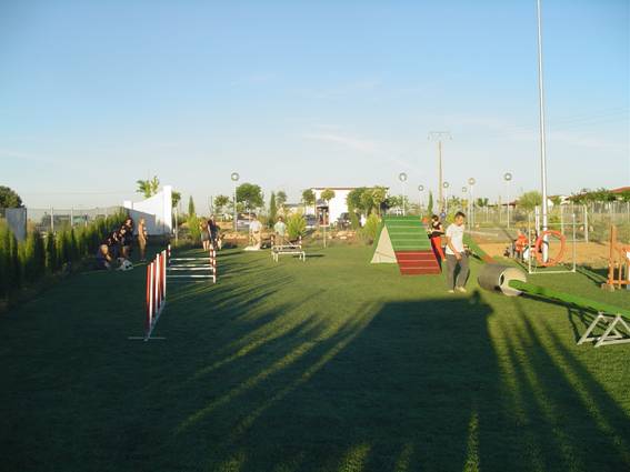 Pista de adiestramiento en clase de agility